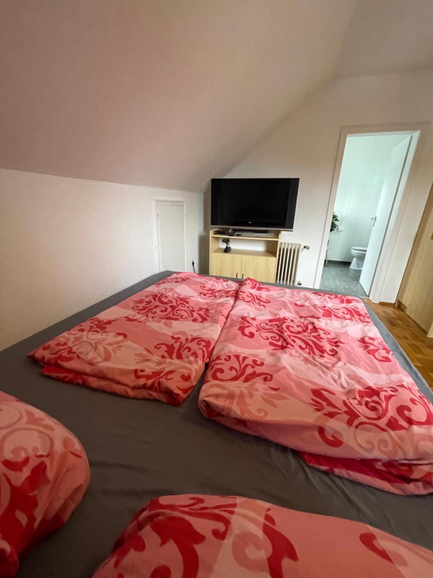 Fewo Zentral Willingen  Extérieur photo